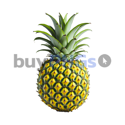 Pineapple Ananas Fruit