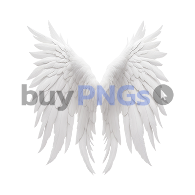 White Angel Wings