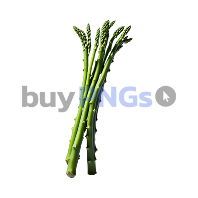 Asparagus bouquet