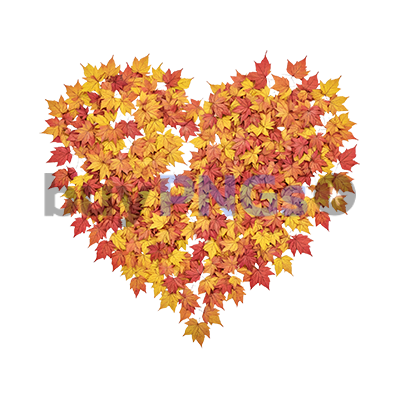 heart shaped autumn leaves