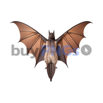 bat with wings spread