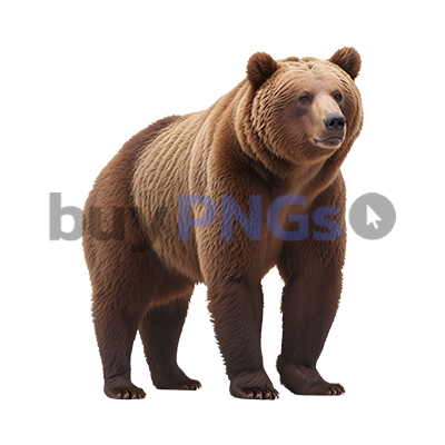 brown grizzly bear