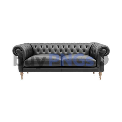 black leather sofa couch