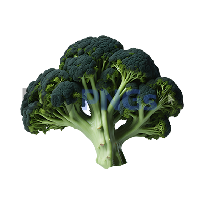 broccoli vegetable