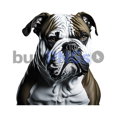 Bulldog Dog Terrier