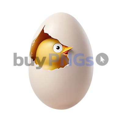 baby chick inside egg shell