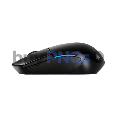 computer mouse