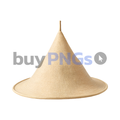 Conical asian hat