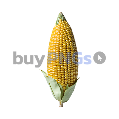 corn