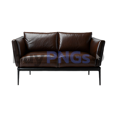 dark brown leather sofa couch