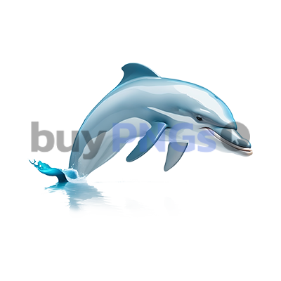 jumping dolphin