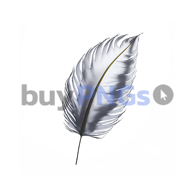 white feather png