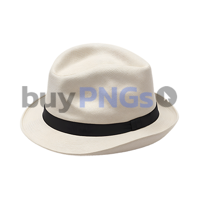 white fedora hat