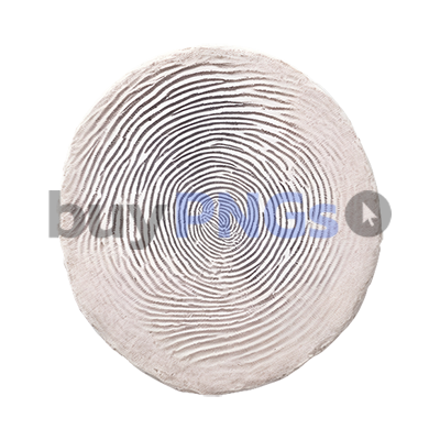 fingerprint fossil png