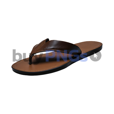 flip flop png