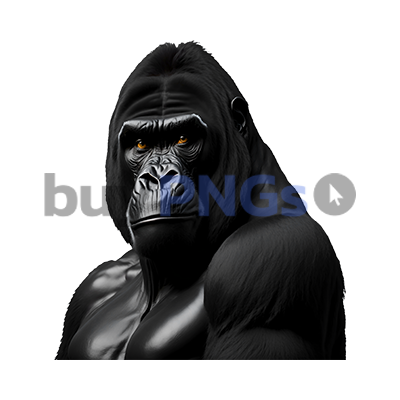 gorilla