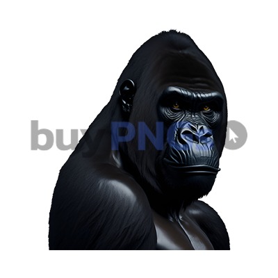 gorilla png