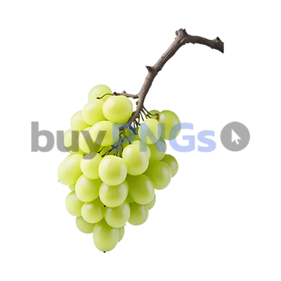 grape branch