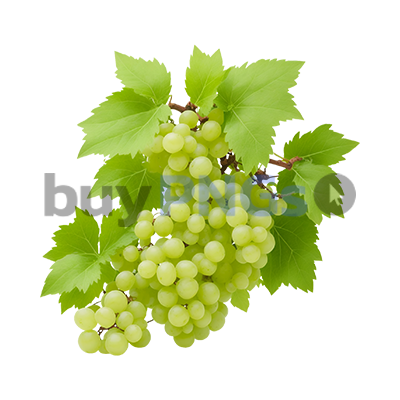 table grapes