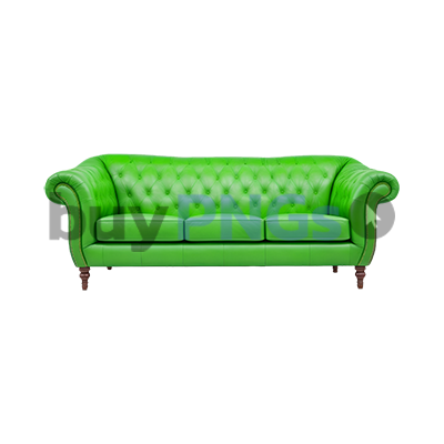 green leather couch sofa