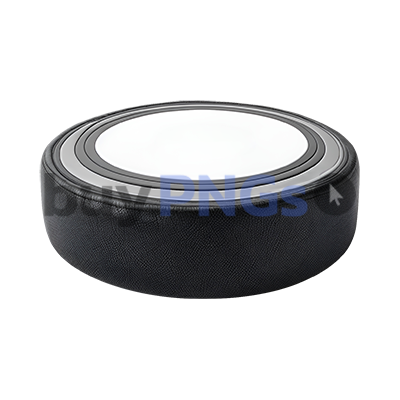 hockey puck