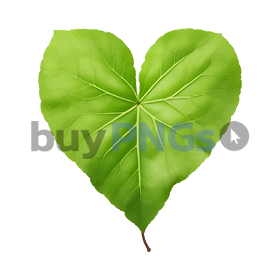 heart shape leaf