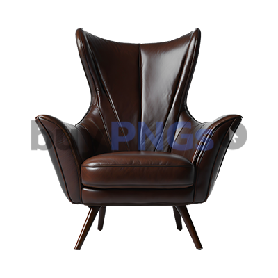 brown leather sofa chair