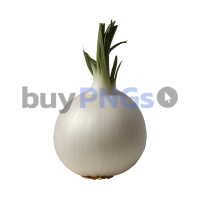 onion