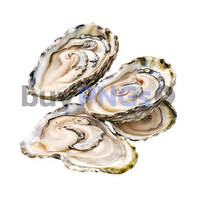 oysters png