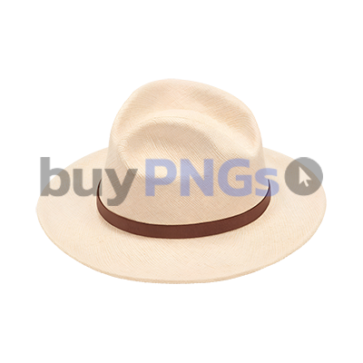 panama hat