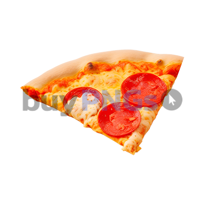 pizza slice