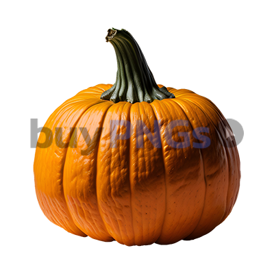 pumpkin png