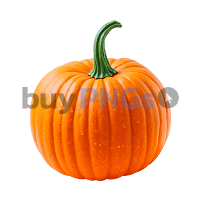 orange pumpkin