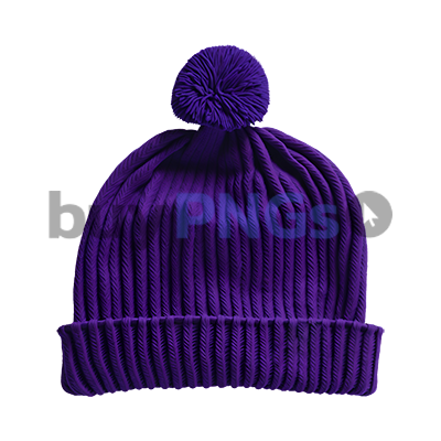 purple winter hat