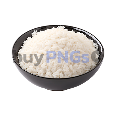 rice in bowl