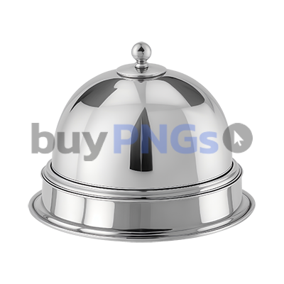 silver cloche