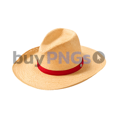 straw hat with red ribbon