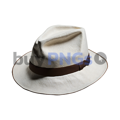 white elegant man hat