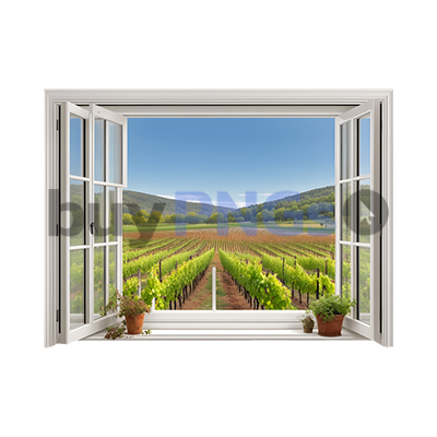 window view vineyard